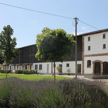 Apartmán Gutshof Marienthal Viereck Exteriér fotografie