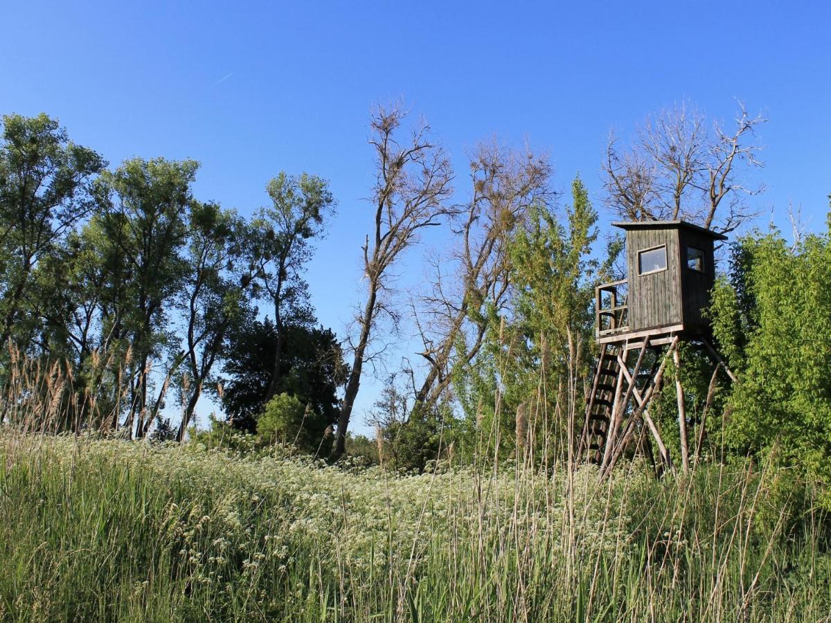 Apartmán Gutshof Marienthal Viereck Exteriér fotografie