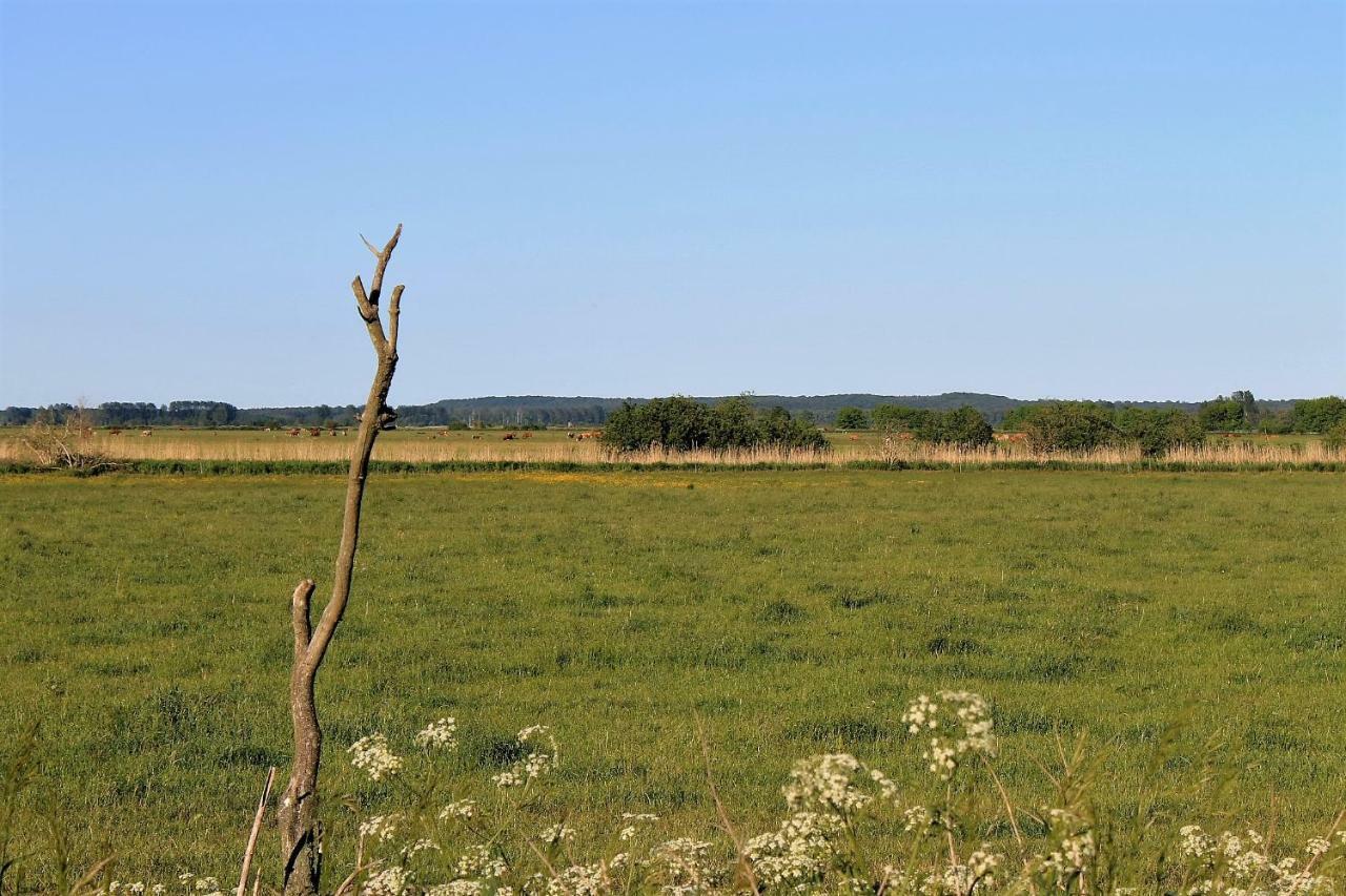 Apartmán Gutshof Marienthal Viereck Exteriér fotografie